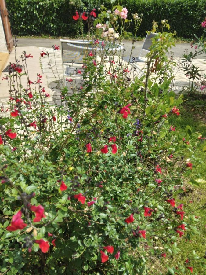 הוילה Seyresse Petit Coin De Charme מראה חיצוני תמונה